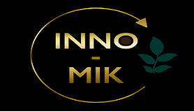 Uruchomienie strony internetowej projektu INNO-MIK