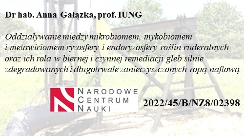 Projekt dr hab. Anny Gałązki, prof. IUNG-PIB otrzymał finansowanie w ramach konkursu Opus 23 (NCN)